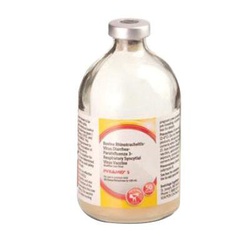 Pyramid®/Presponse® 139929