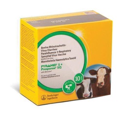 Pyramid®/Presponse® 139937