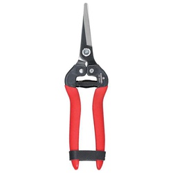 CORONA® AG 4930