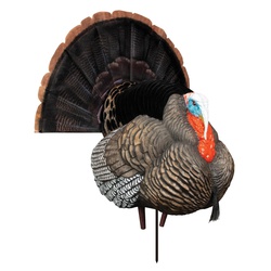 HIGDON OUTDOORS 63148