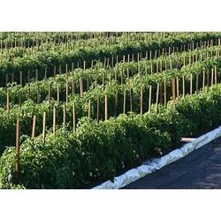 Intergro ST48341