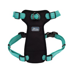 K9 EXPLORER® 36655 OCE24