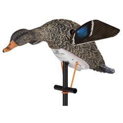 LUCKY DUCK™ 21-10718-8