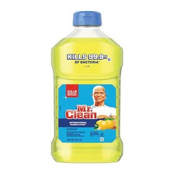 Mr. Clean 4413217