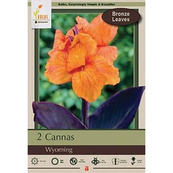 Netherland Bulb Company 1880115770