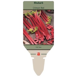 Netherland Bulb Company 4940100771