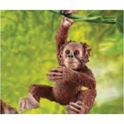 schleich® 14776