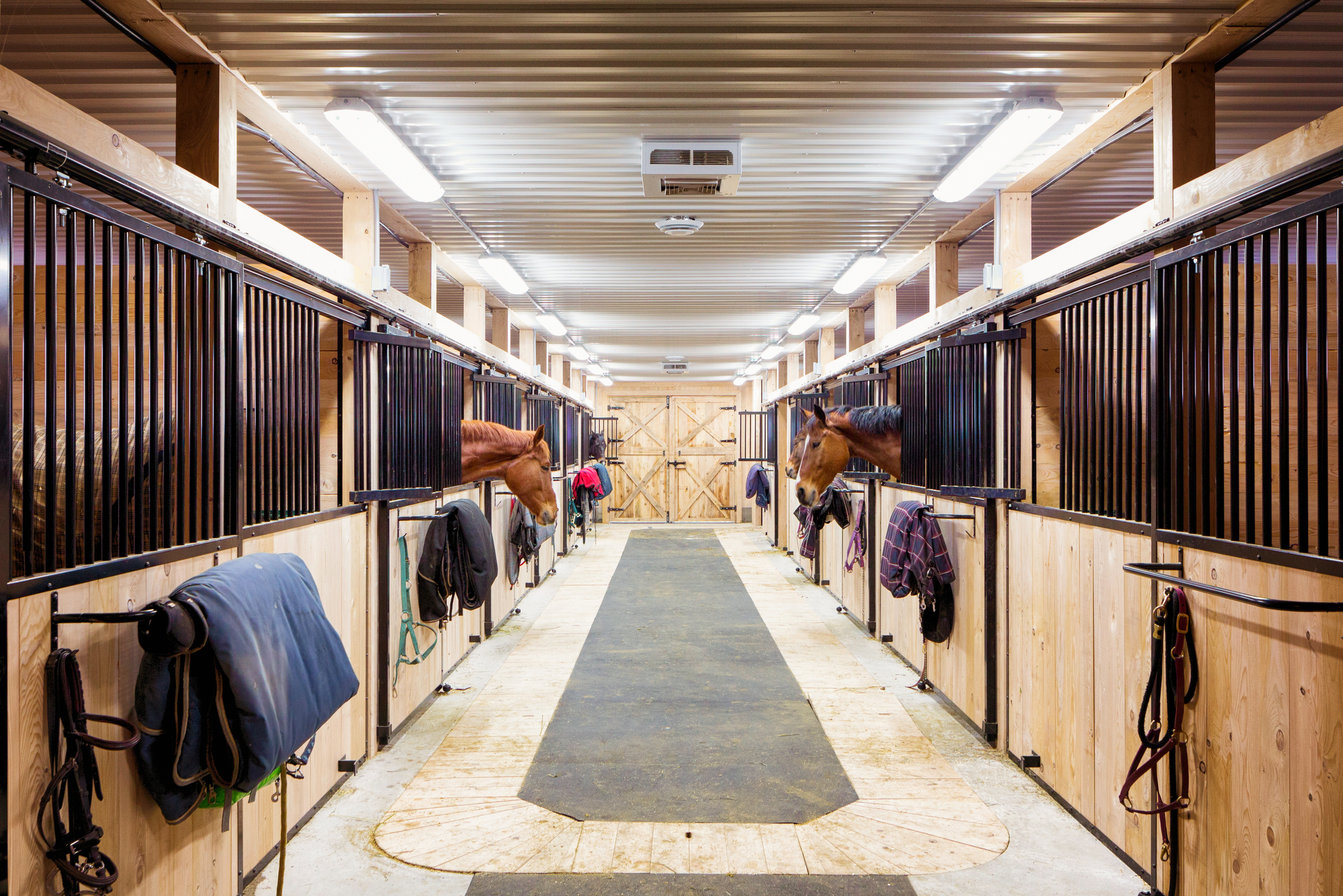 https://23800ufh.stage.cimm2.com//customerdocs/610/CATEGORY/IMG/barn&stable-533179467.jpg