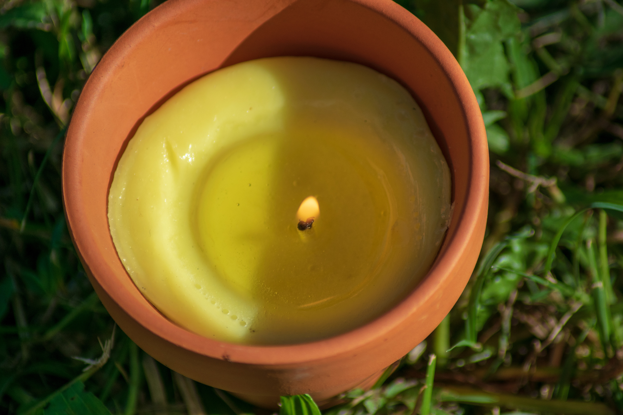 https://23800ufh.stage.cimm2.com//customerdocs/610/CATEGORY/IMG/citronella.jpg