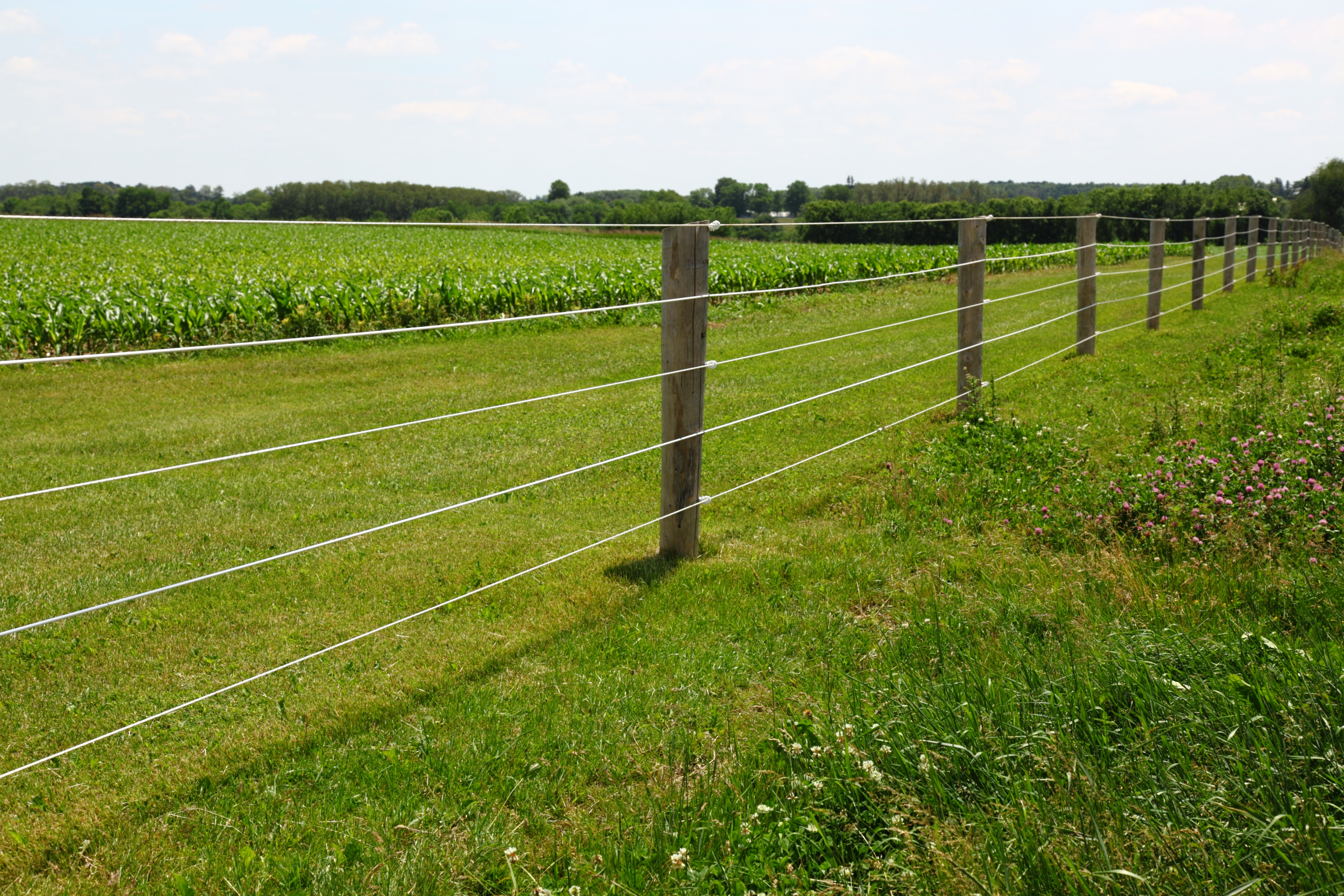 https://23800ufh.stage.cimm2.com//customerdocs/610/CATEGORY/IMG/electricfence.jpg