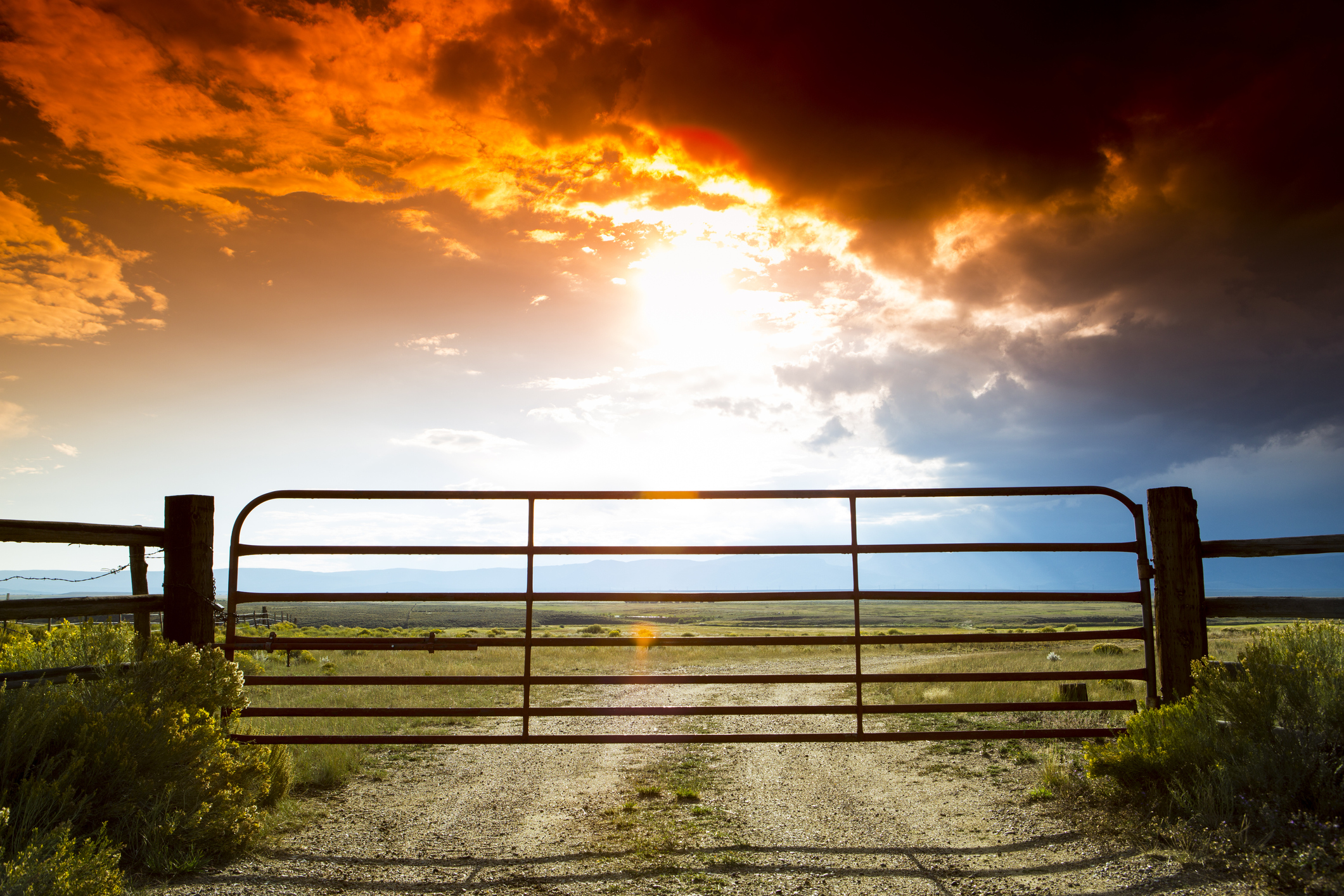 https://23800ufh.stage.cimm2.com//customerdocs/610/CATEGORY/IMG/farmgates.jpg