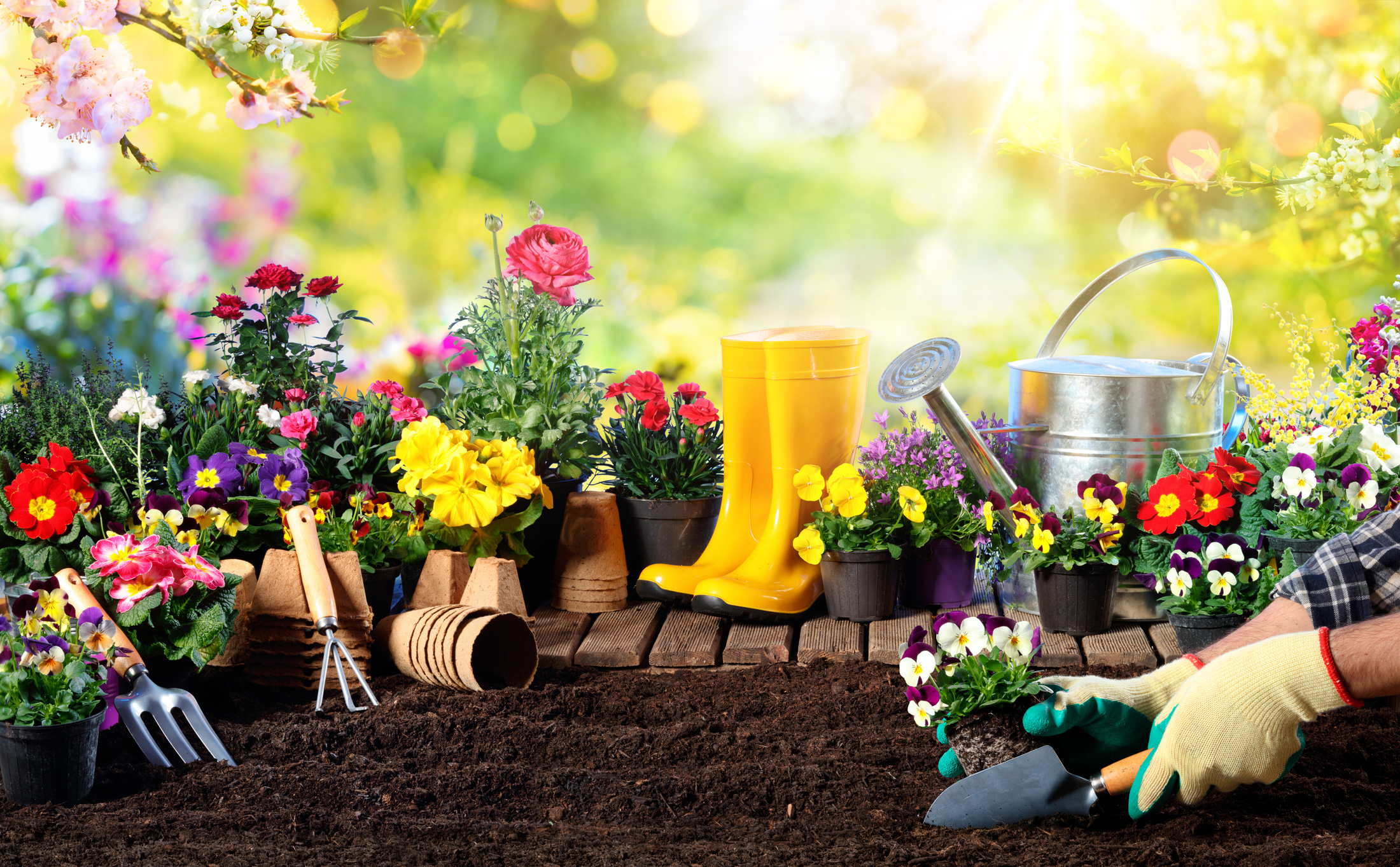 https://23800ufh.stage.cimm2.com//customerdocs/610/CATEGORY/IMG/gardenaccessories.jpg