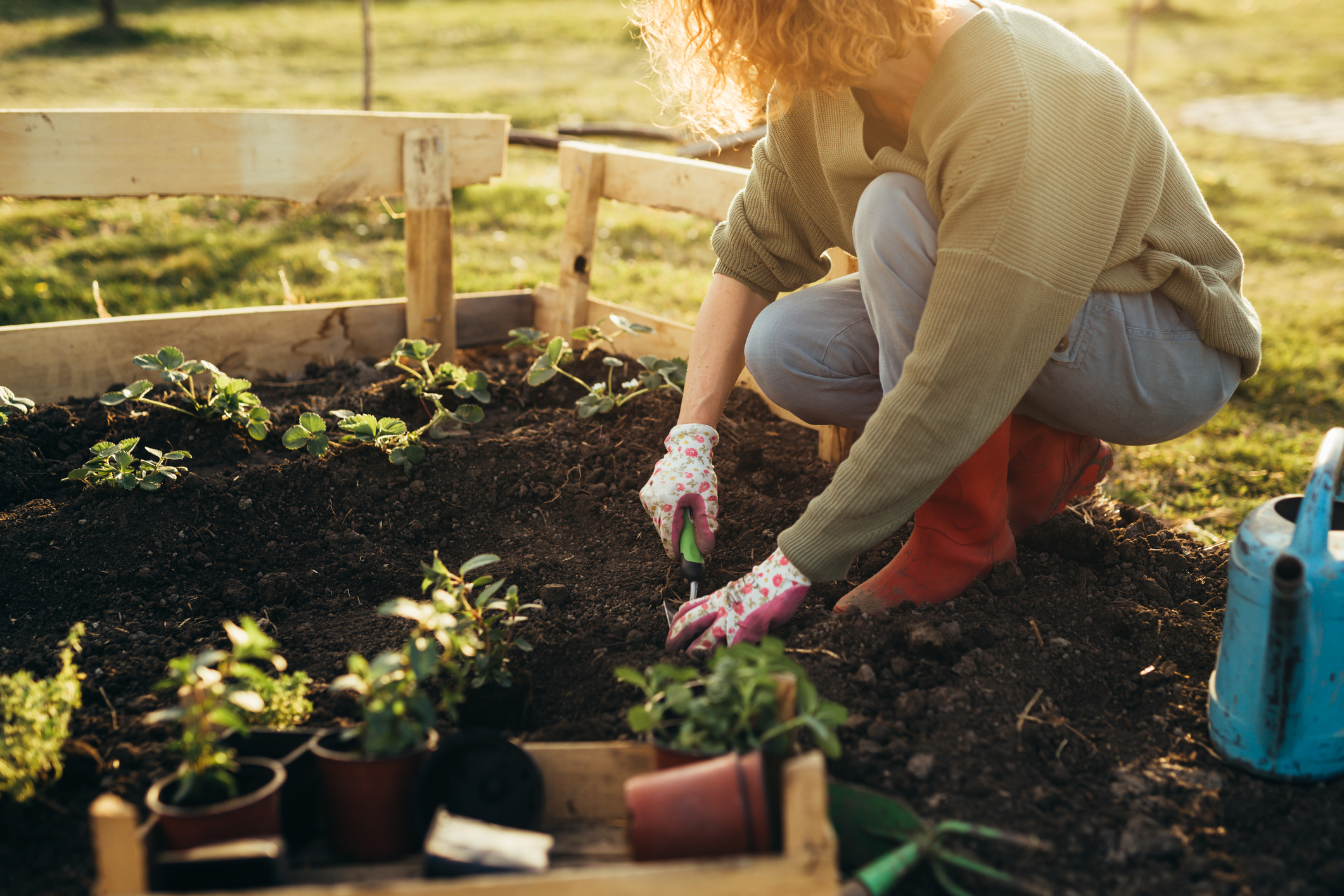 https://23800ufh.stage.cimm2.com//customerdocs/610/CATEGORY/IMG/gardening.jpg