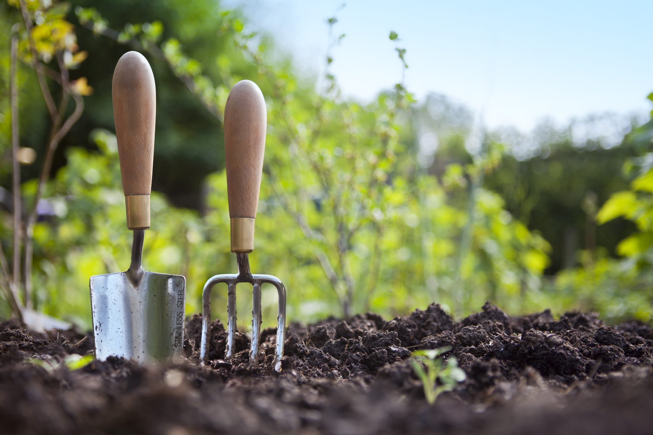 https://23800ufh.stage.cimm2.com//customerdocs/610/CATEGORY/IMG/gardeningtools.jpg