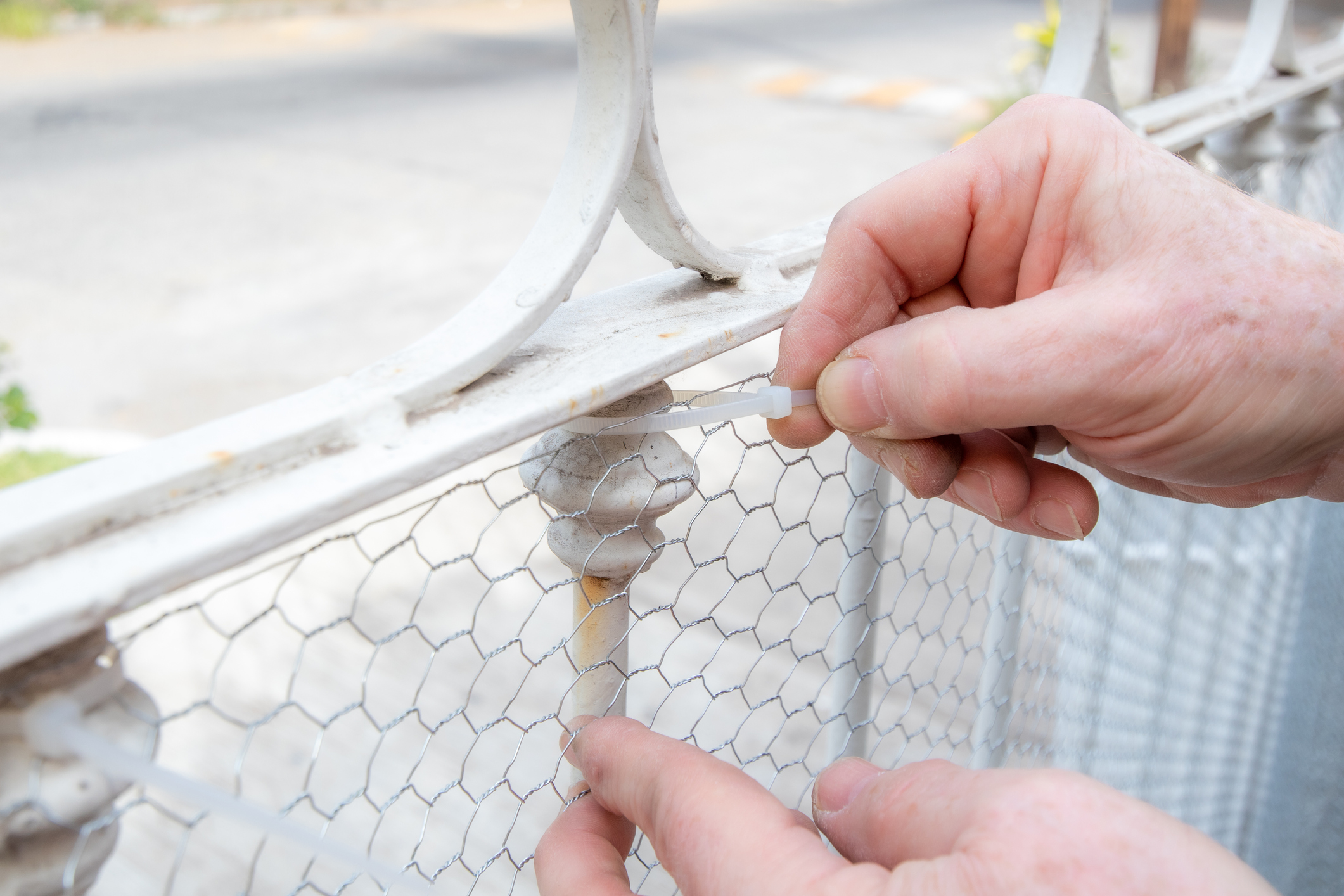 https://23800ufh.stage.cimm2.com//customerdocs/610/CATEGORY/IMG/hardwarecloth.jpg
