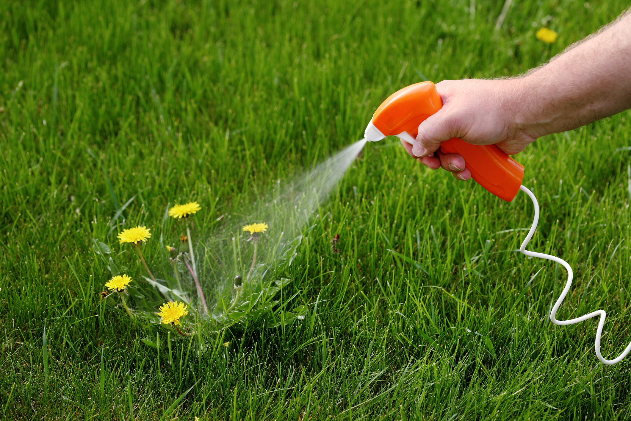 https://23800ufh.stage.cimm2.com//customerdocs/610/CATEGORY/IMG/herbicides1.jpg