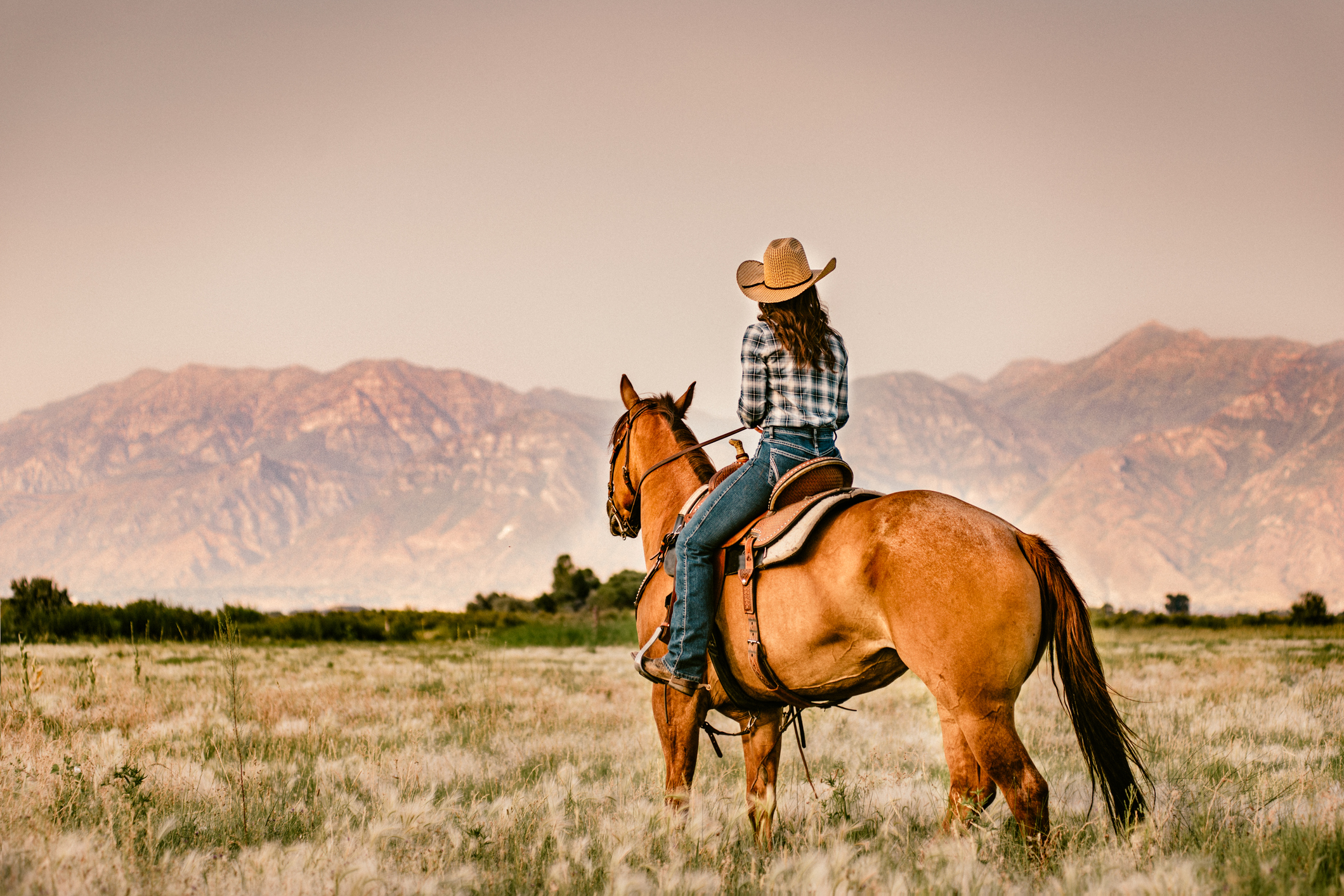 https://23800ufh.stage.cimm2.com//customerdocs/610/CATEGORY/IMG/horseriding.jpg