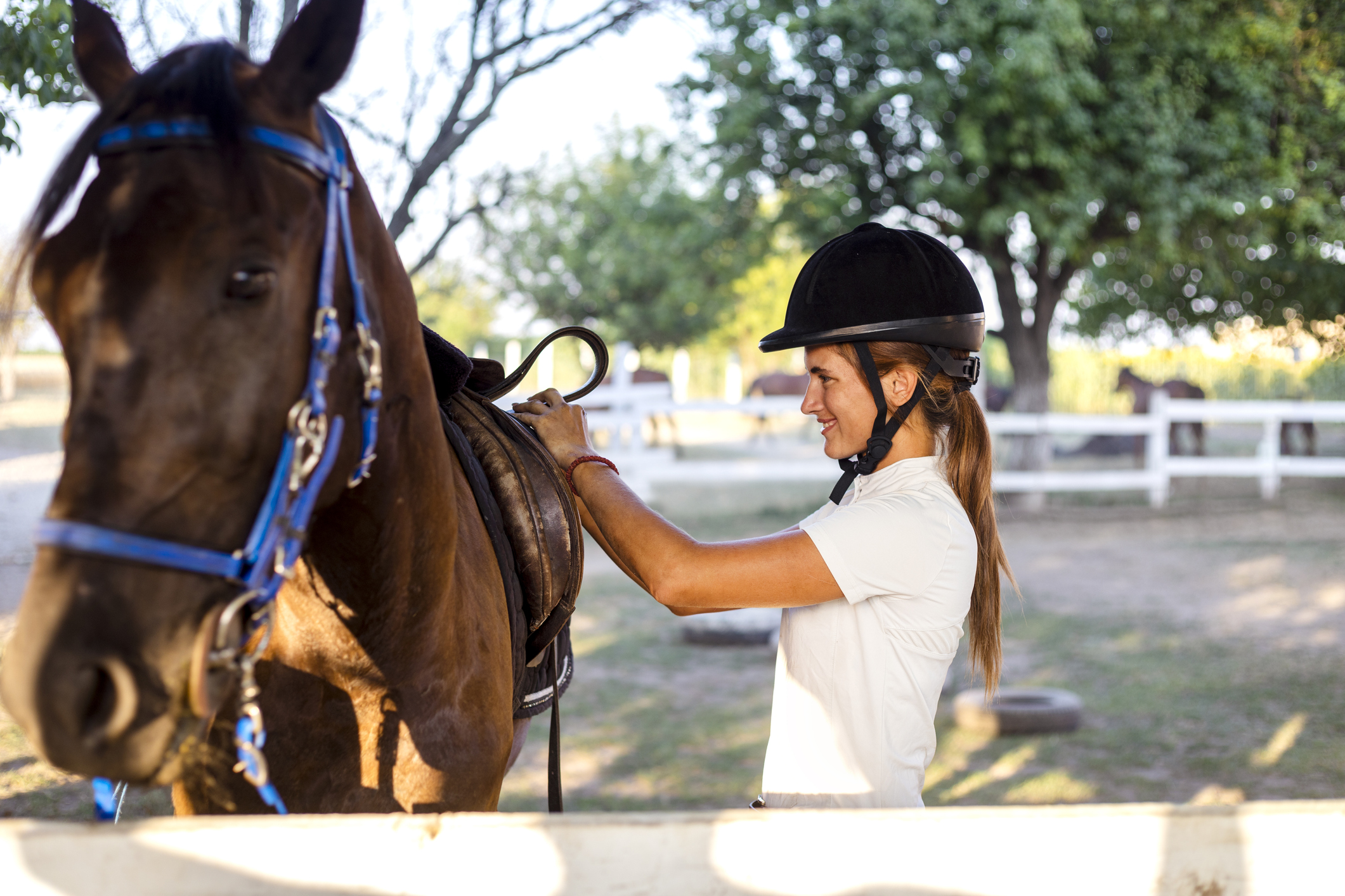 https://23800ufh.stage.cimm2.com//customerdocs/610/CATEGORY/IMG/horsetraining-1331935062.jpg