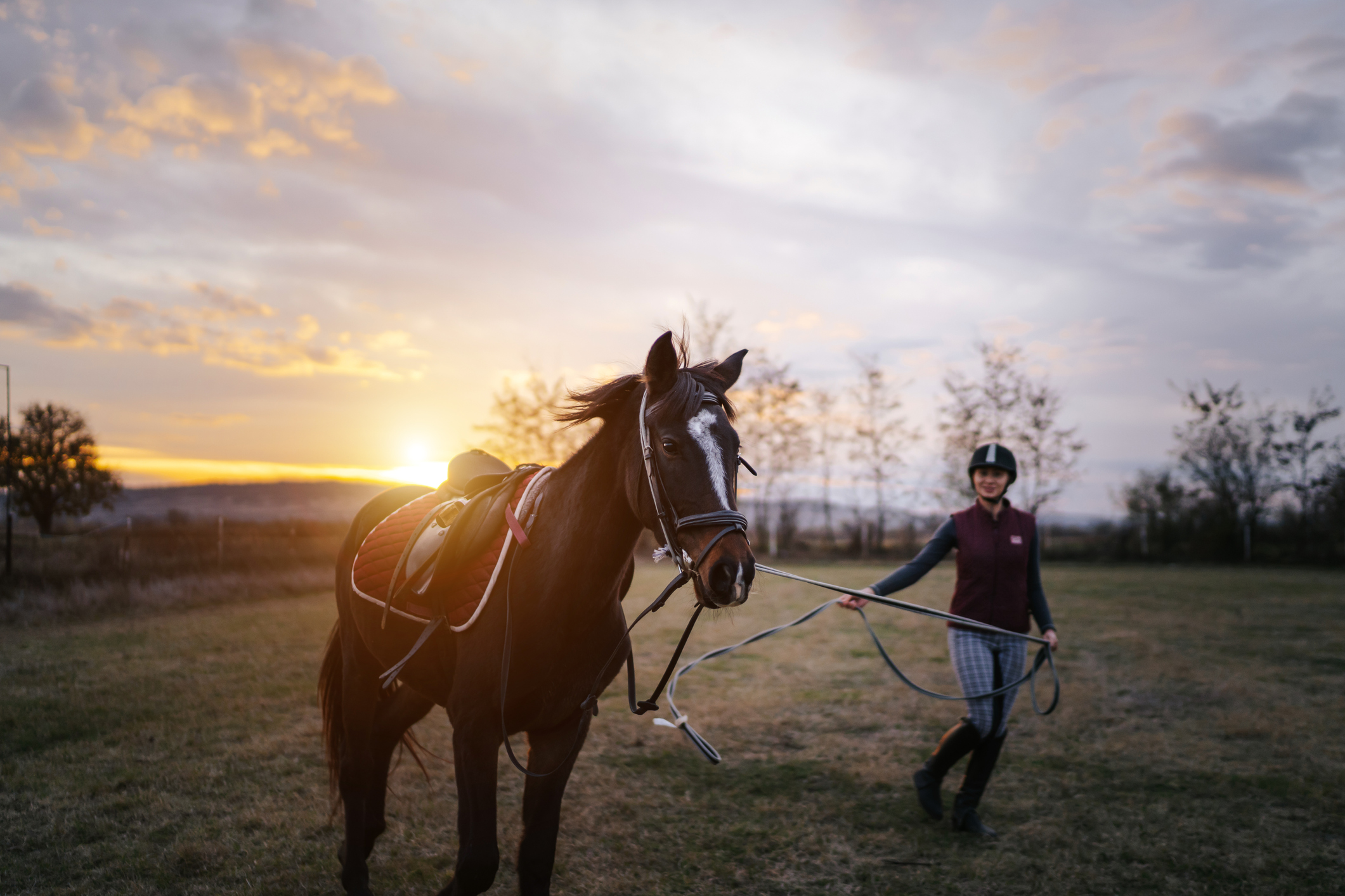 https://23800ufh.stage.cimm2.com//customerdocs/610/CATEGORY/IMG/horsetraining.jpg