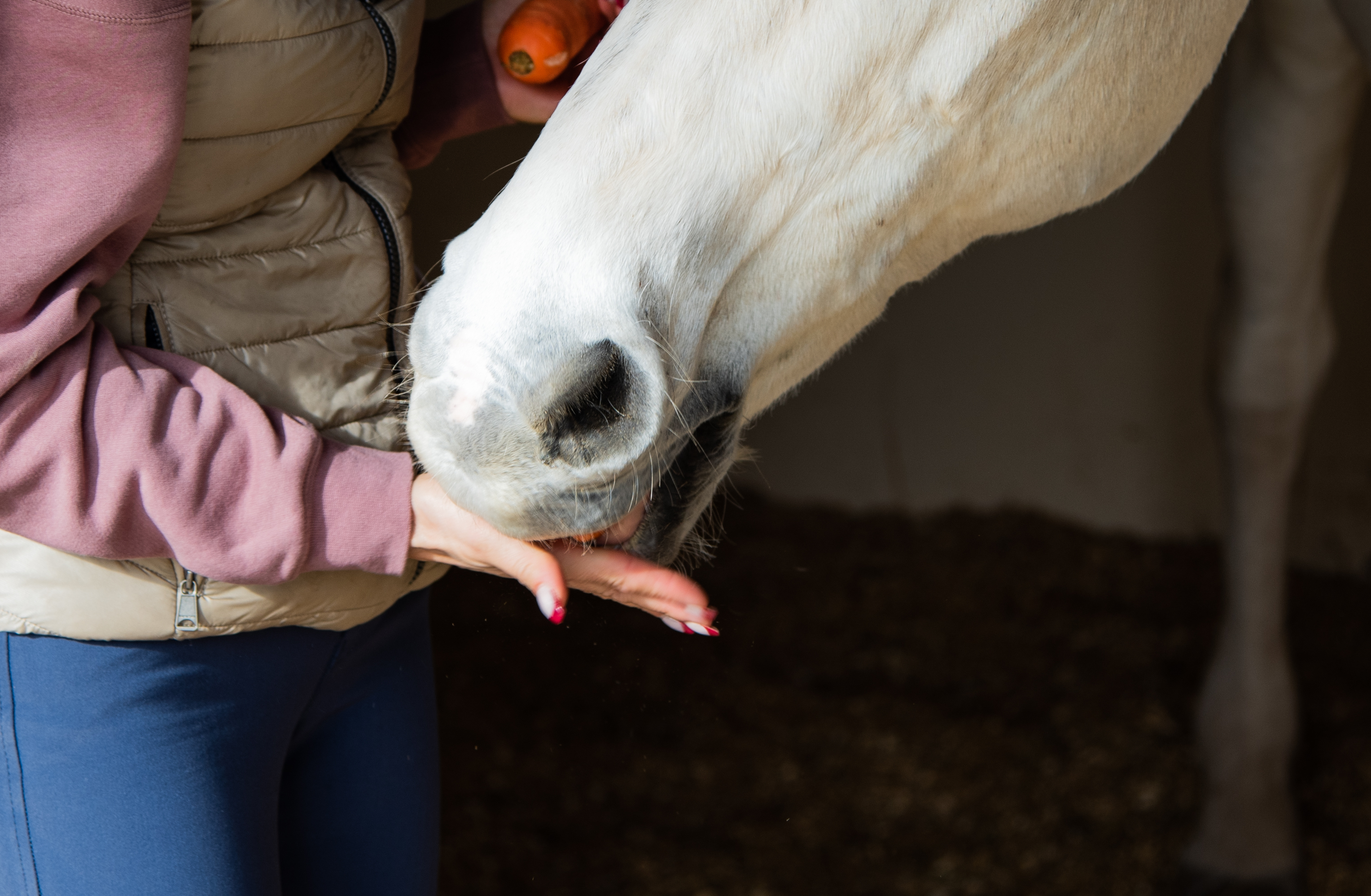 https://23800ufh.stage.cimm2.com//customerdocs/610/CATEGORY/IMG/horsetreats_(2).jpg