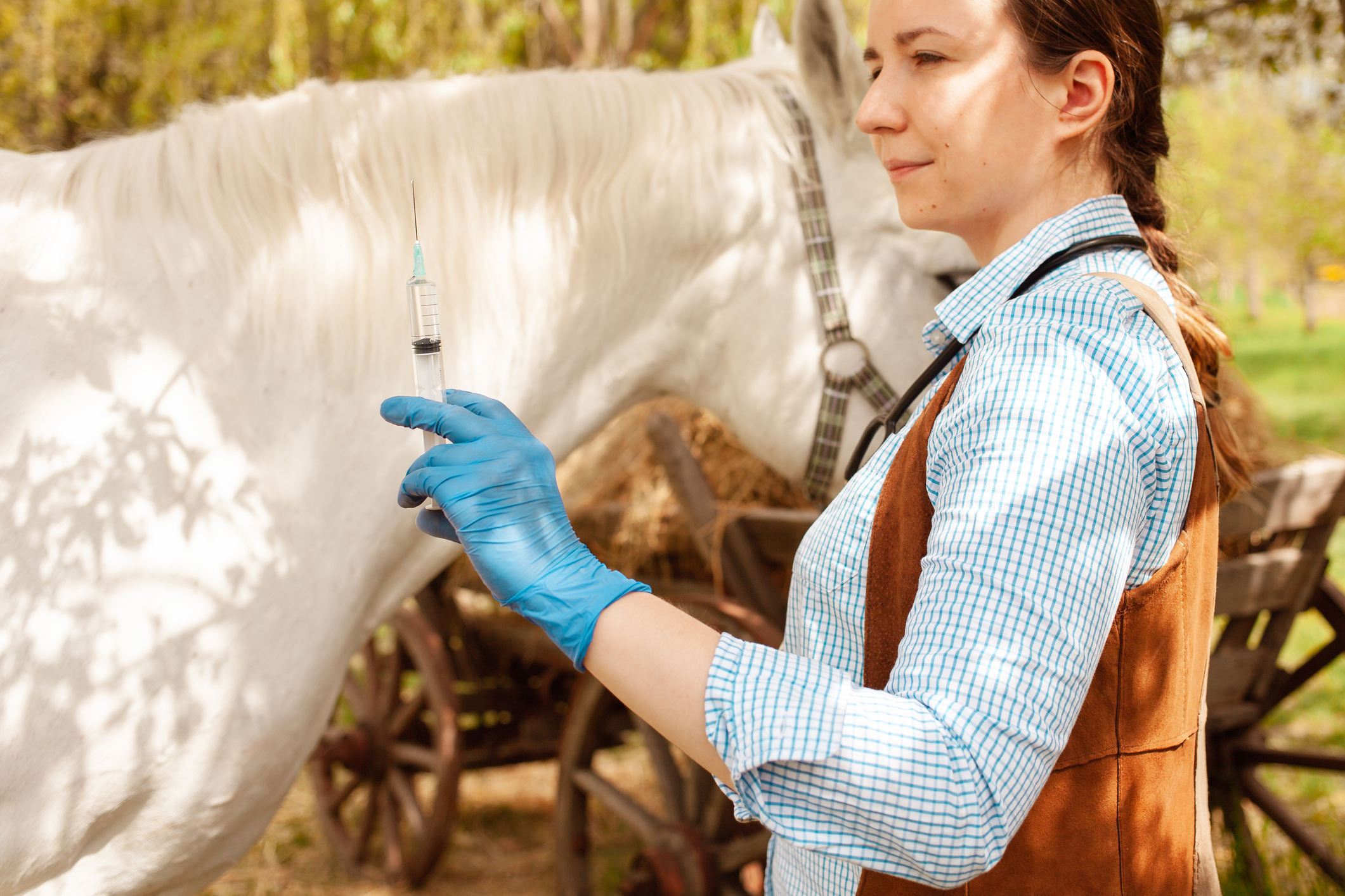 https://23800ufh.stage.cimm2.com//customerdocs/610/CATEGORY/IMG/horsevax.jpg