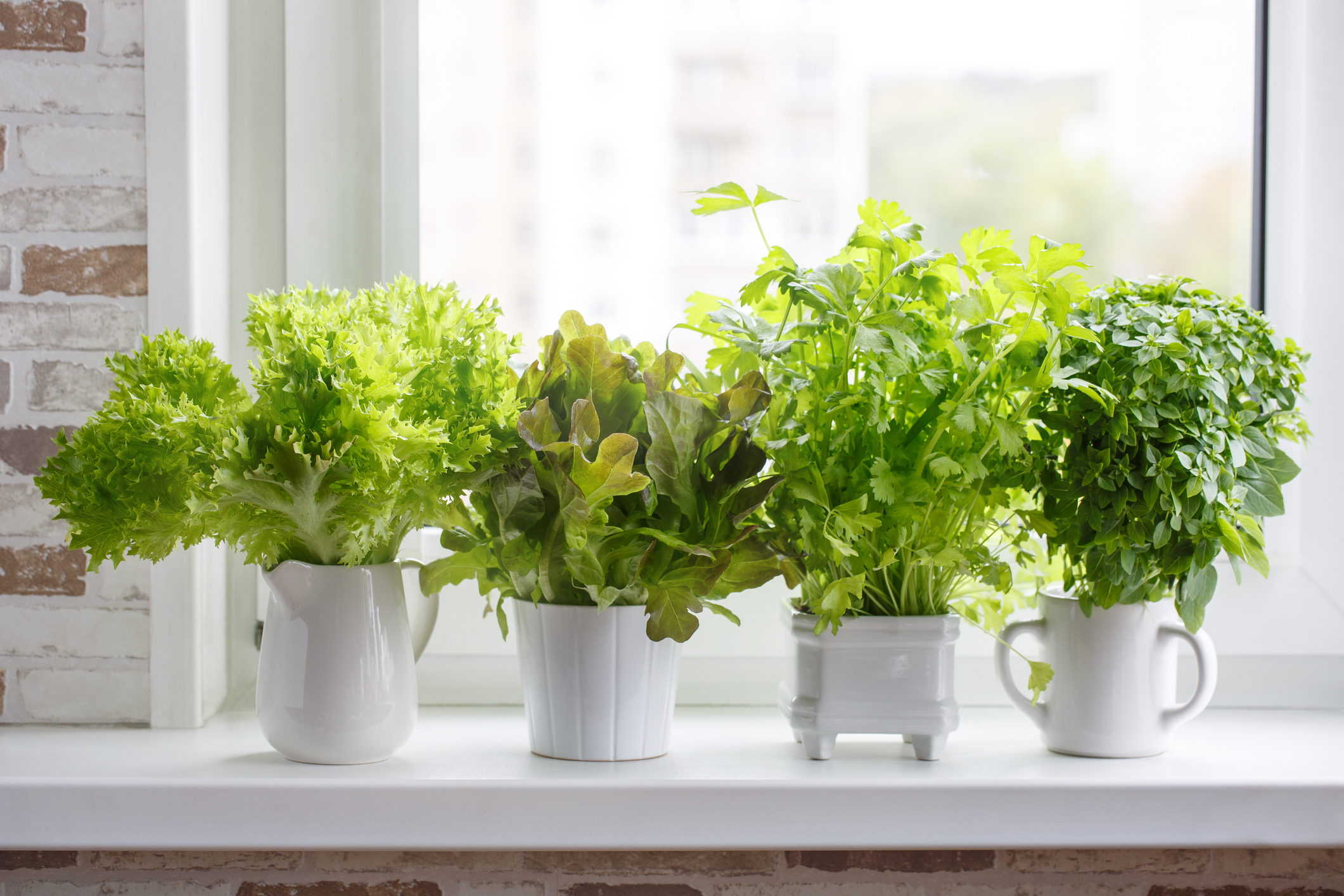 https://23800ufh.stage.cimm2.com//customerdocs/610/CATEGORY/IMG/indoorgarden.jpg