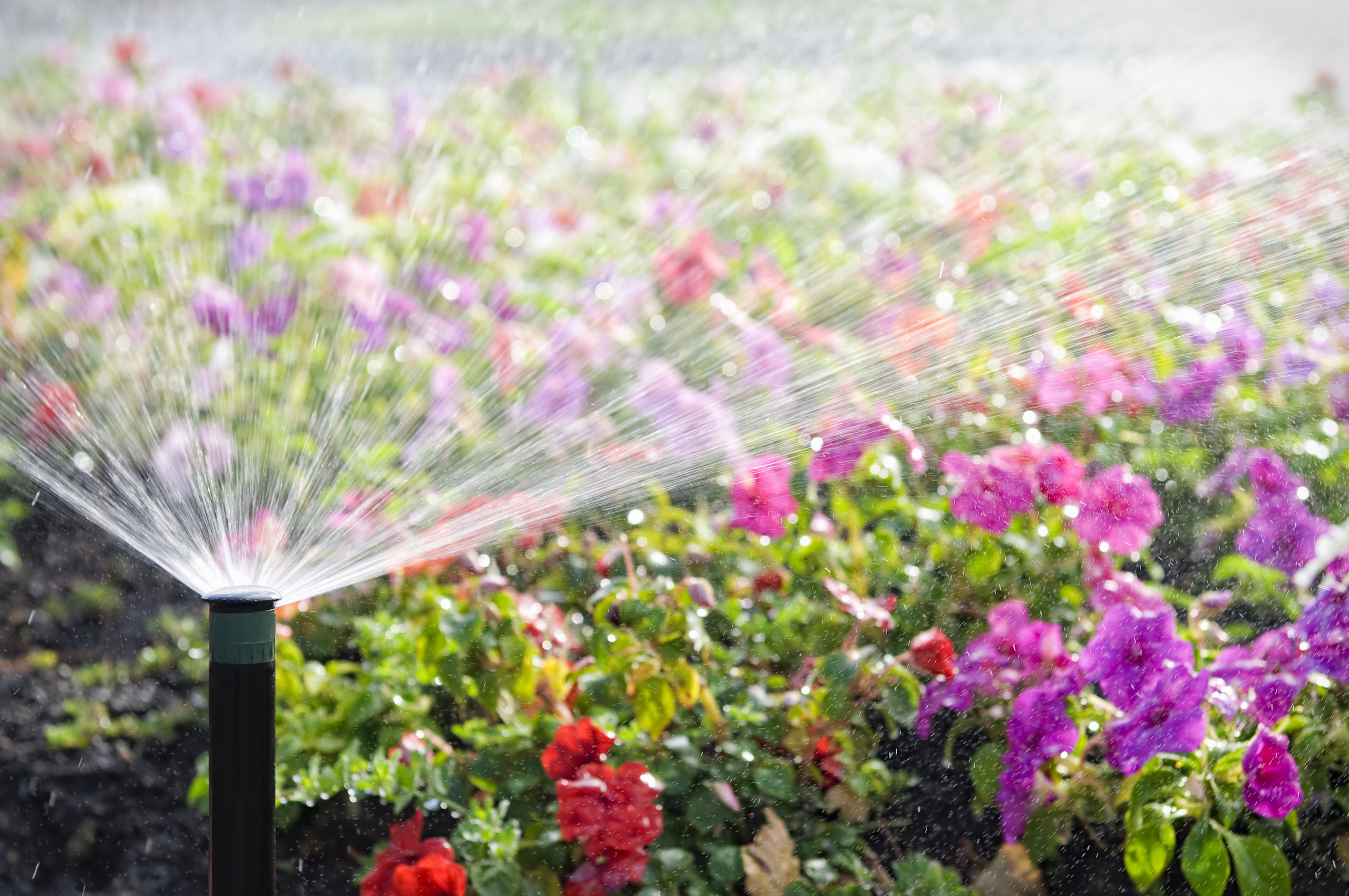 https://23800ufh.stage.cimm2.com//customerdocs/610/CATEGORY/IMG/irrigation.jpg