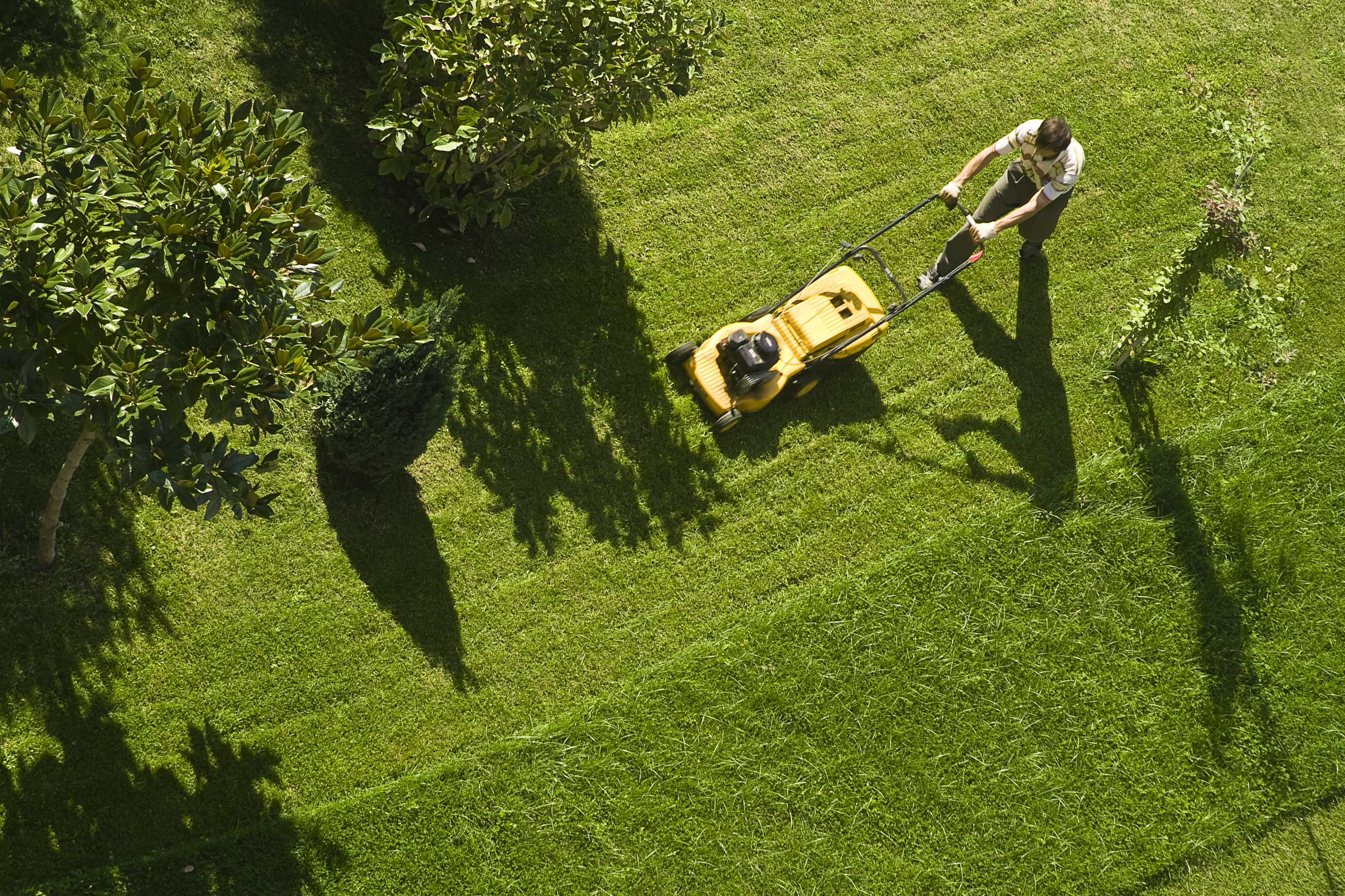 https://23800ufh.stage.cimm2.com//customerdocs/610/CATEGORY/IMG/lawnmower.jpg