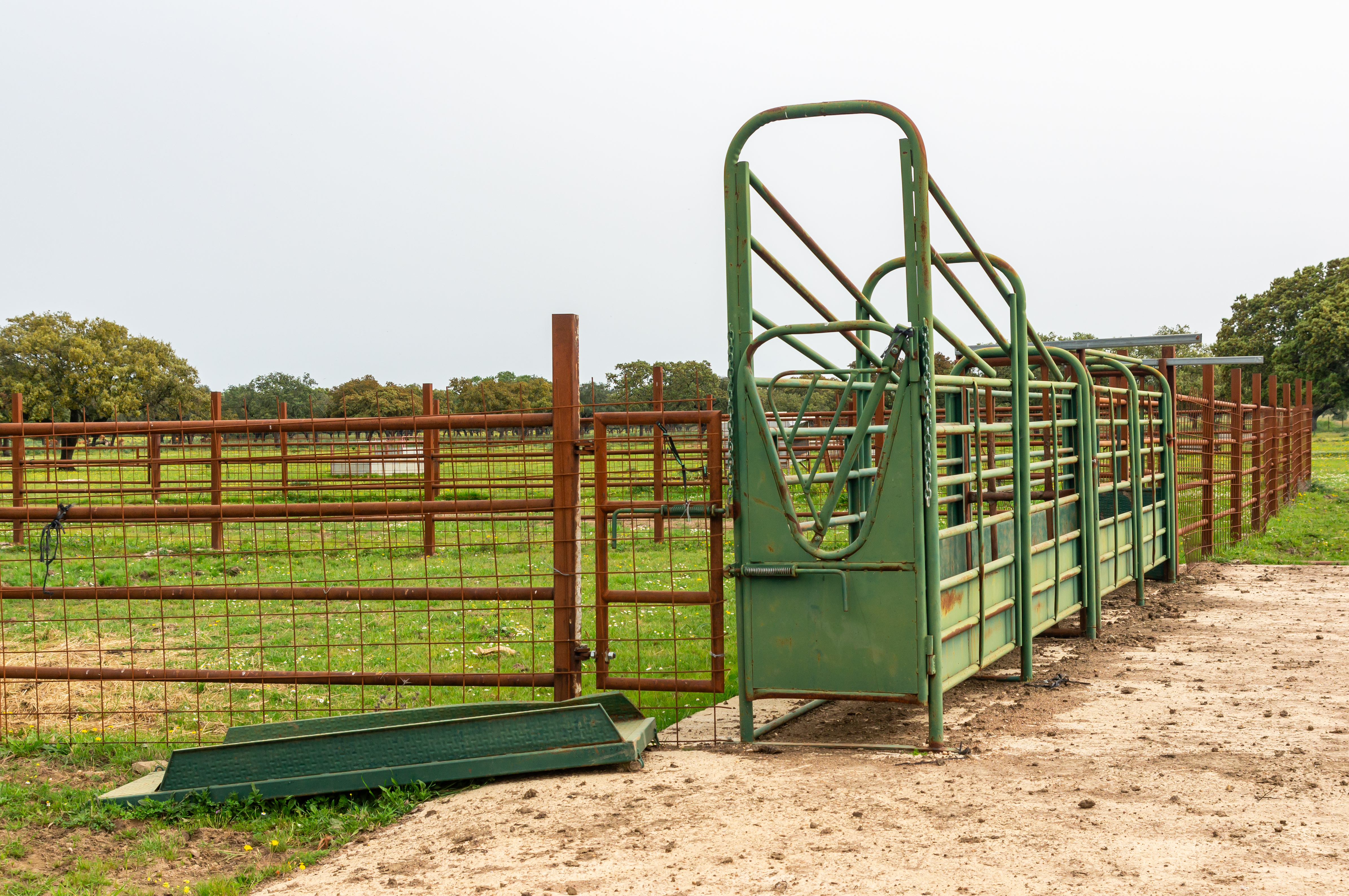 https://23800ufh.stage.cimm2.com//customerdocs/610/CATEGORY/IMG/livestockhandling.jpg