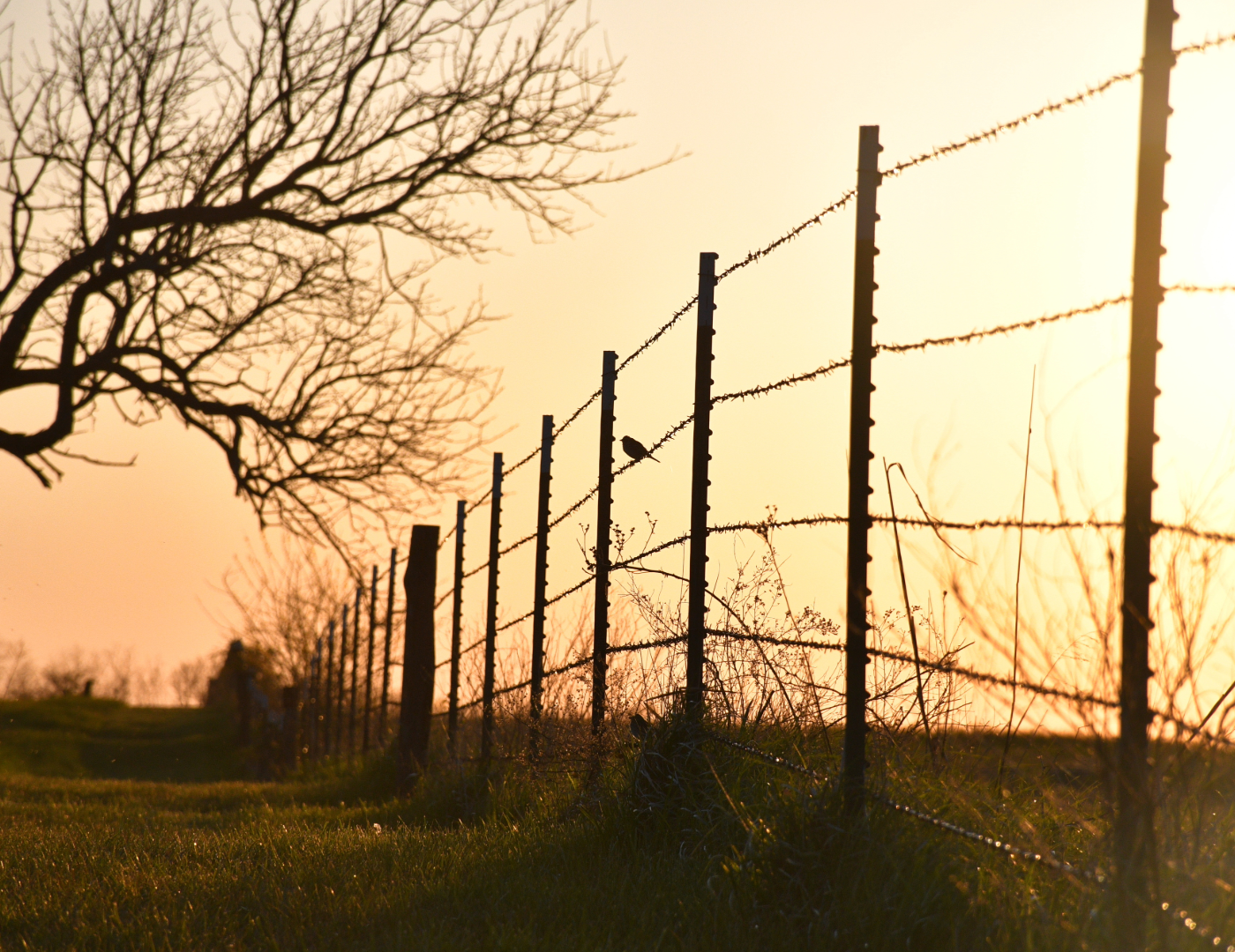 https://23800ufh.stage.cimm2.com//customerdocs/610/CATEGORY/IMG/metal_fence_post-1_(002).png