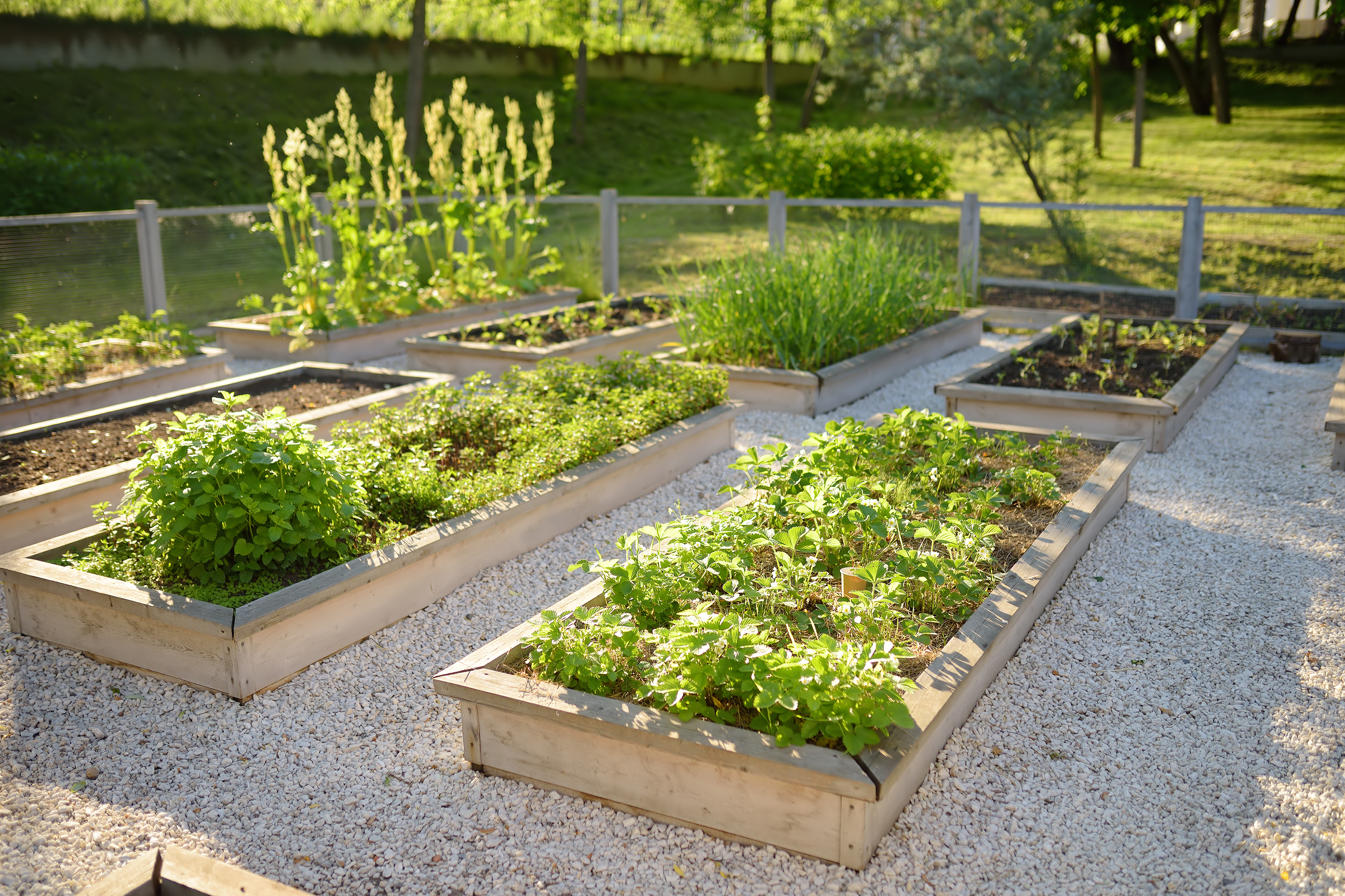 https://23800ufh.stage.cimm2.com//customerdocs/610/CATEGORY/IMG/plantbeds.jpg