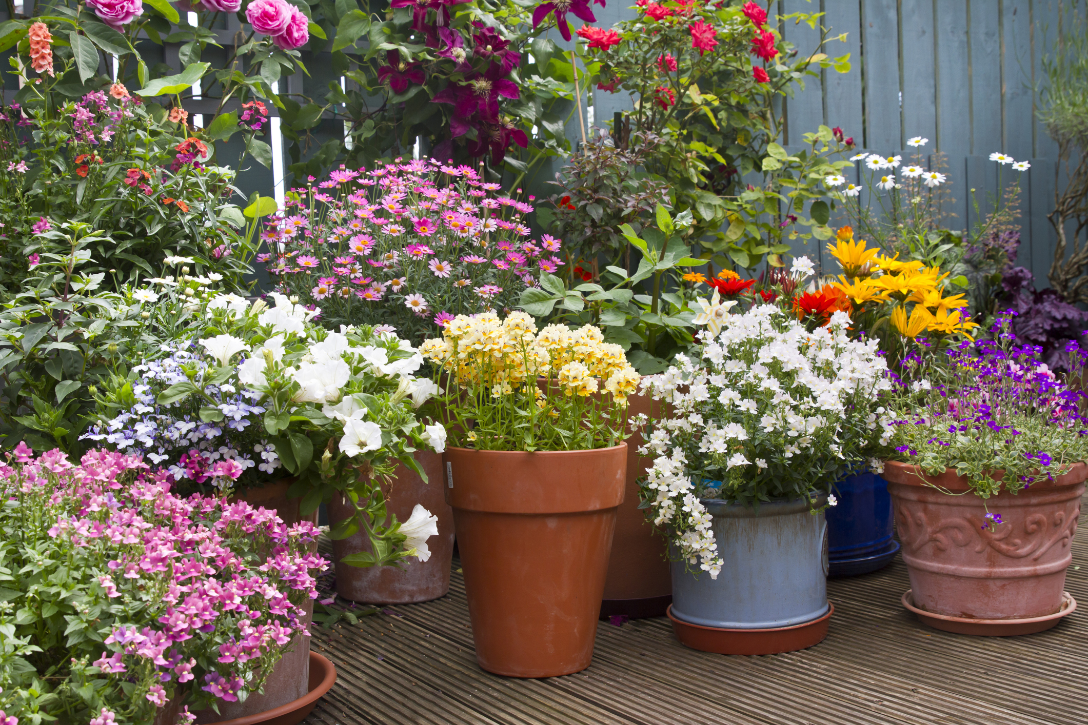 https://23800ufh.stage.cimm2.com//customerdocs/610/CATEGORY/IMG/planters.jpg