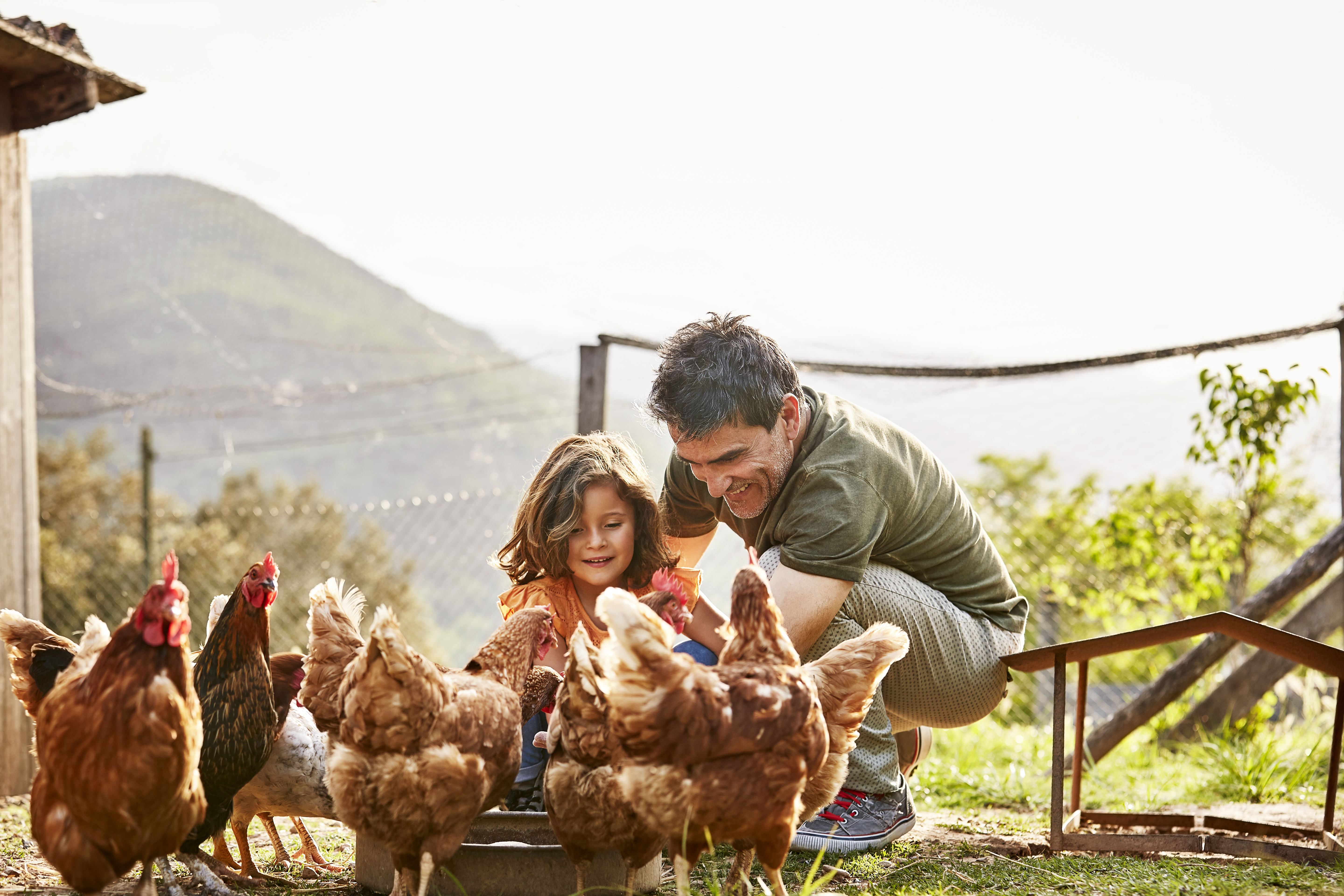 https://23800ufh.stage.cimm2.com//customerdocs/610/CATEGORY/IMG/poultrycare_(2).jpg