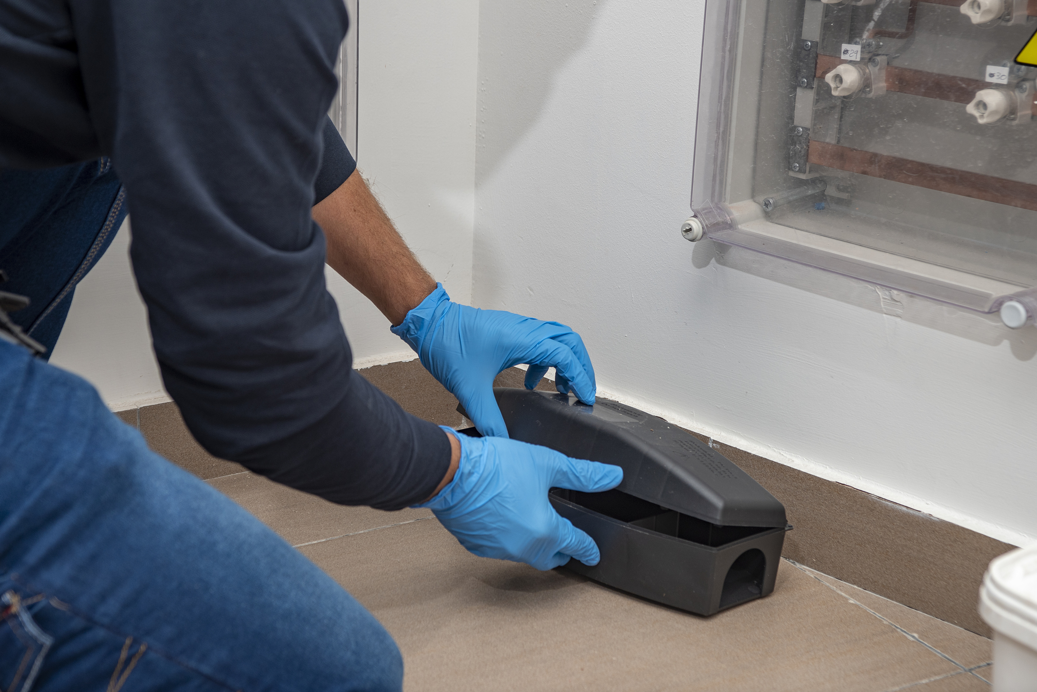 https://23800ufh.stage.cimm2.com//customerdocs/610/CATEGORY/IMG/rodenttrap.jpg