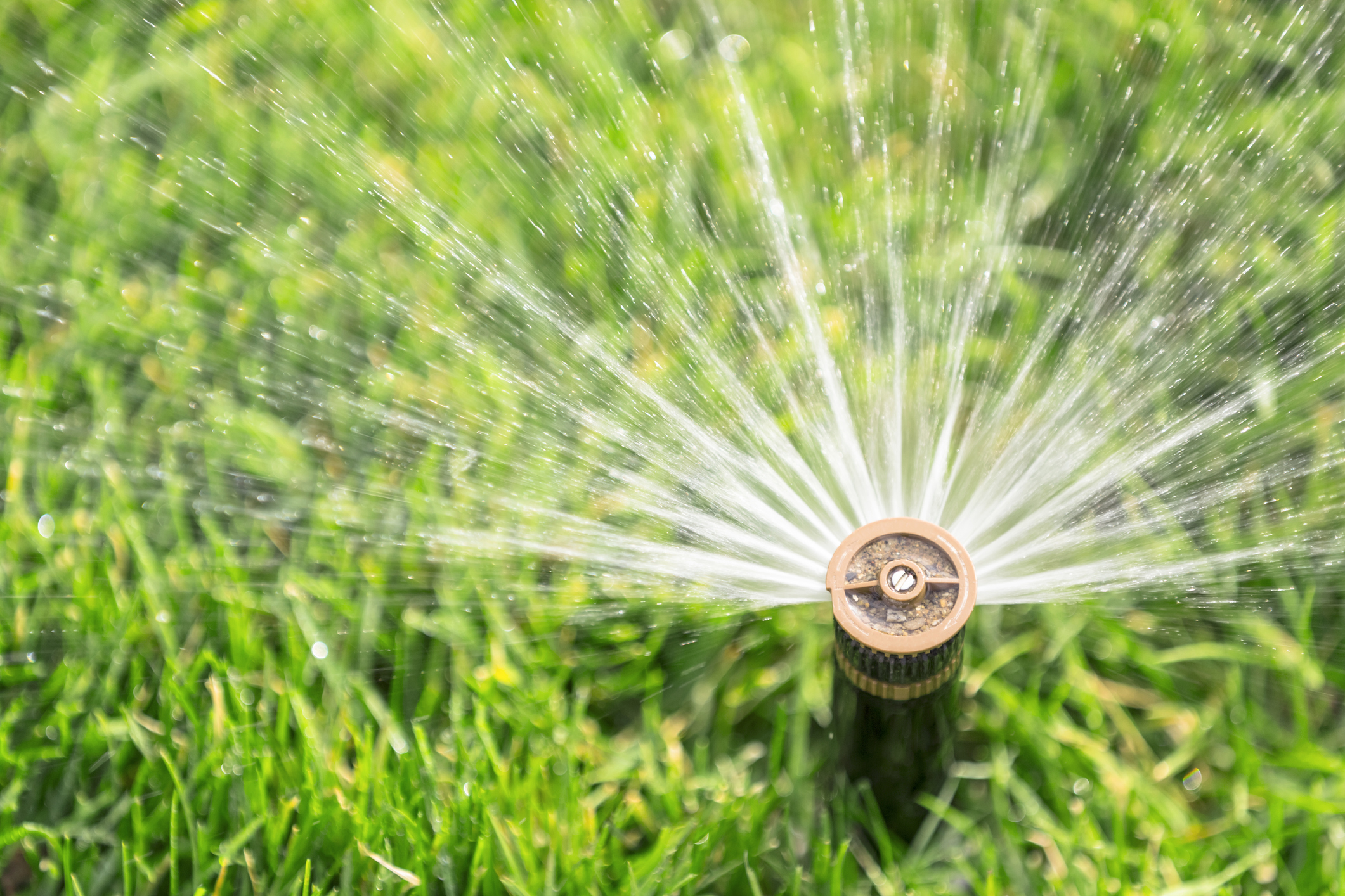https://23800ufh.stage.cimm2.com//customerdocs/610/CATEGORY/IMG/sprinkler.jpg