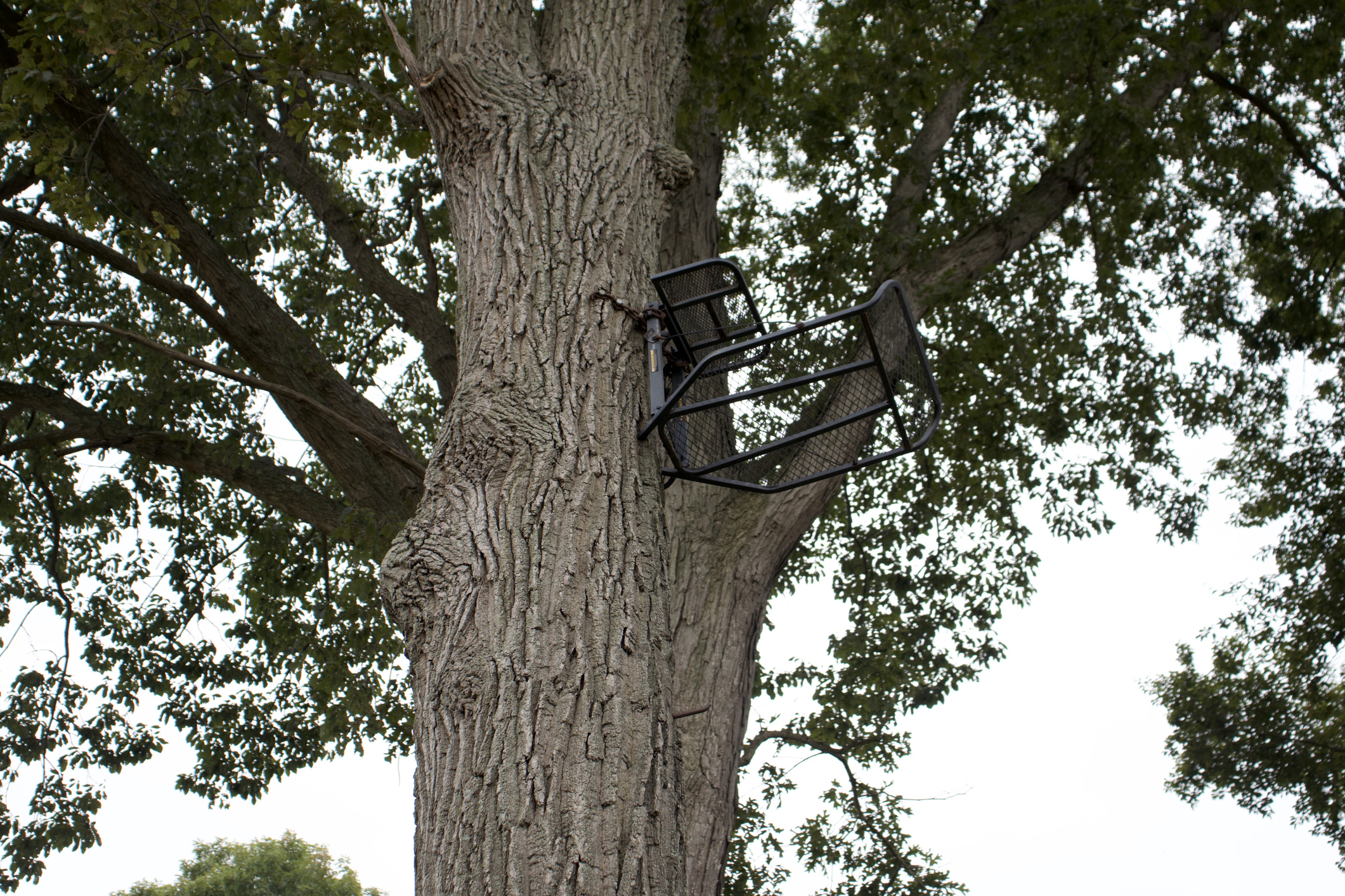 https://23800ufh.stage.cimm2.com//customerdocs/610/CATEGORY/IMG/treestand.jpg