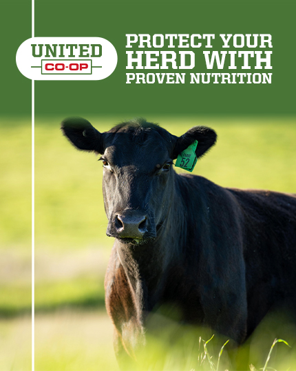ProtectYourHerd_Mobile_merger.jpg