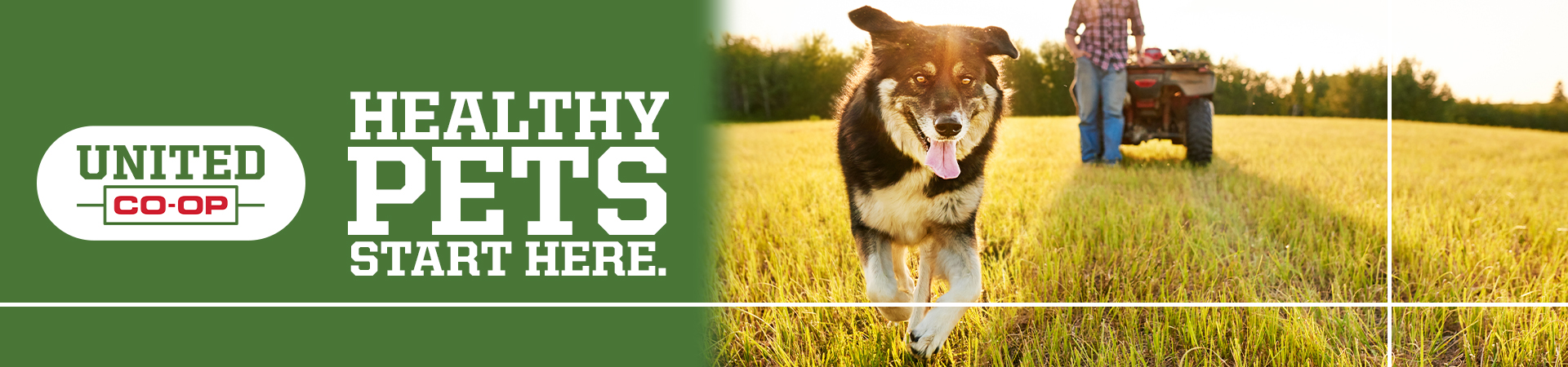 june2026-healthypetsstarthere_1920x450.jpg