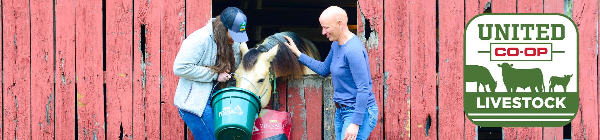 livestock & feed