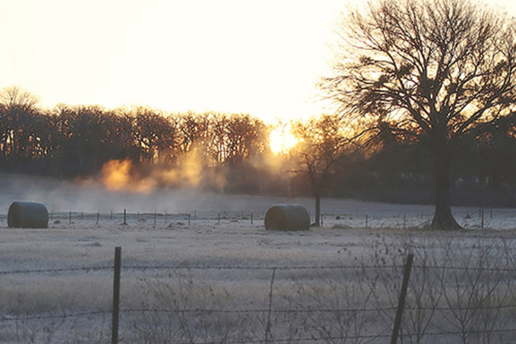 hay bales in a frost covered field