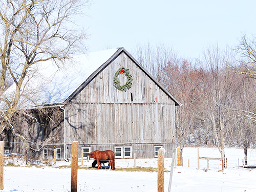 Two horses grazing in a pasture next to a barn.