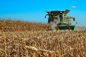 A harvester harvesting wheat in a field.