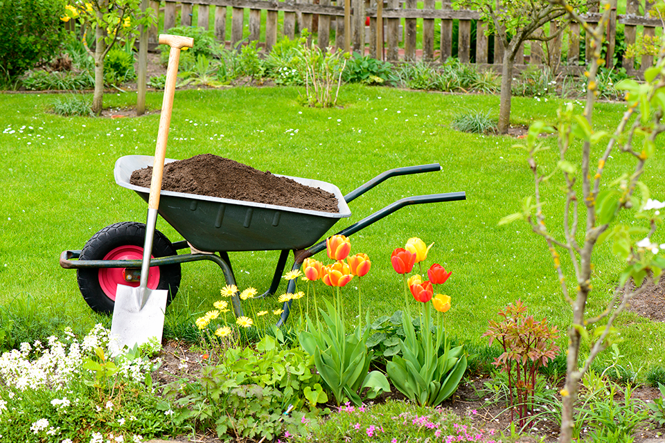 A wheelbarrow filled with dirt in front of a garden.