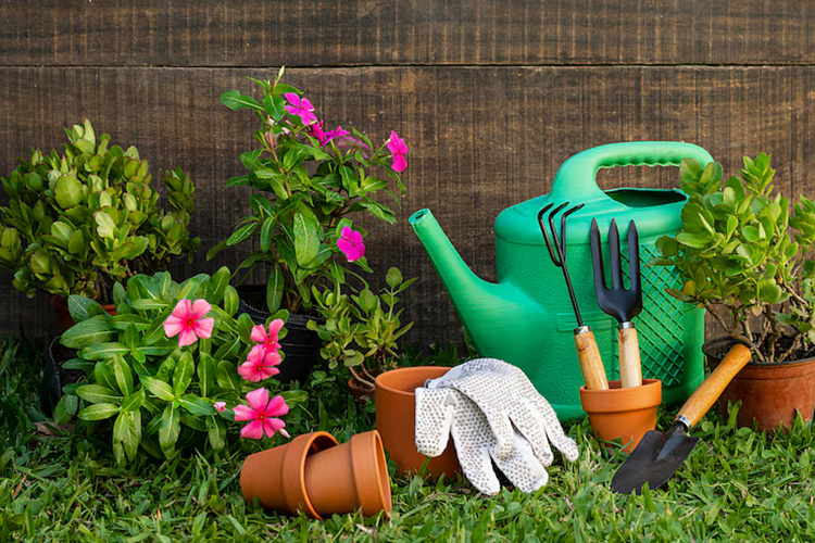 Gardening tools in the grass.