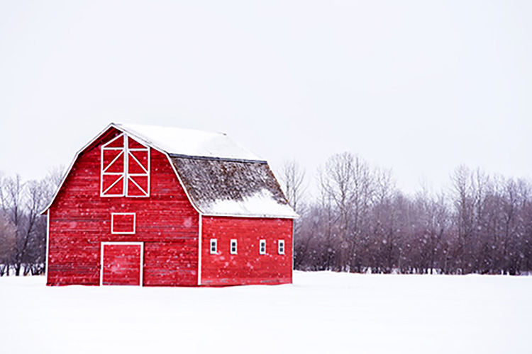A red barn in the middle of a snowy field.