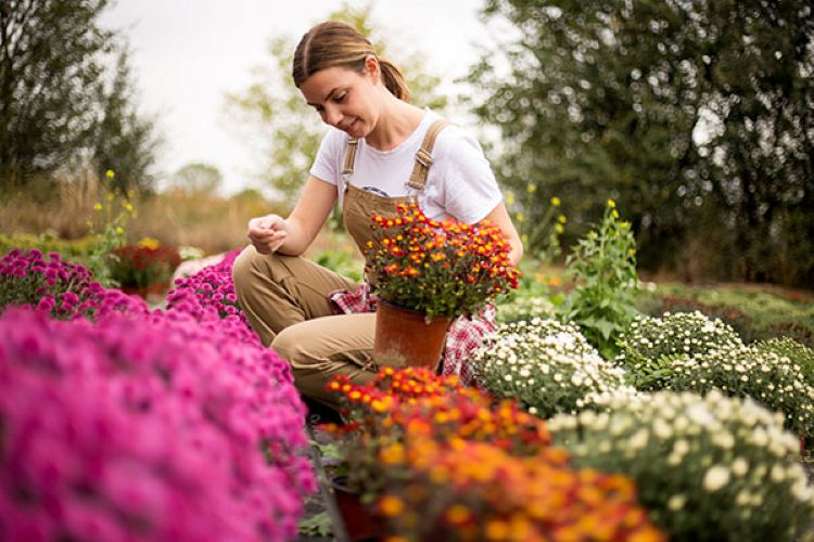 gardening lady