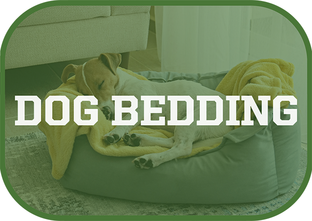 dog bedding