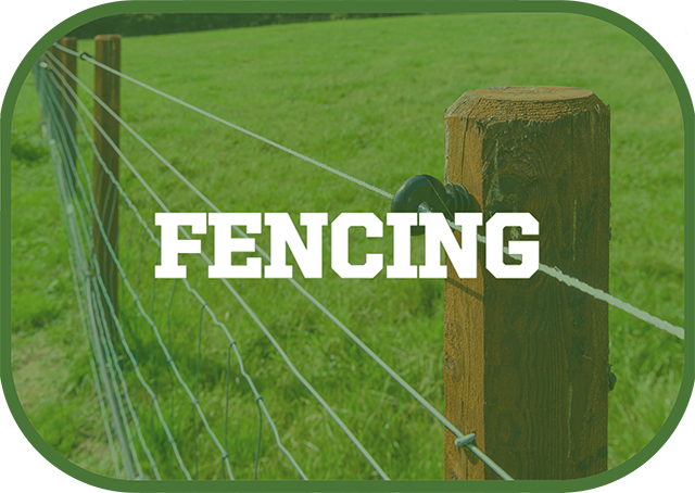fencing