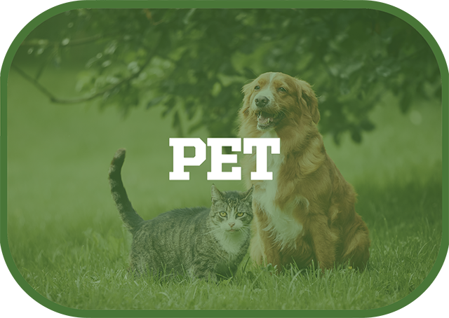 pet
