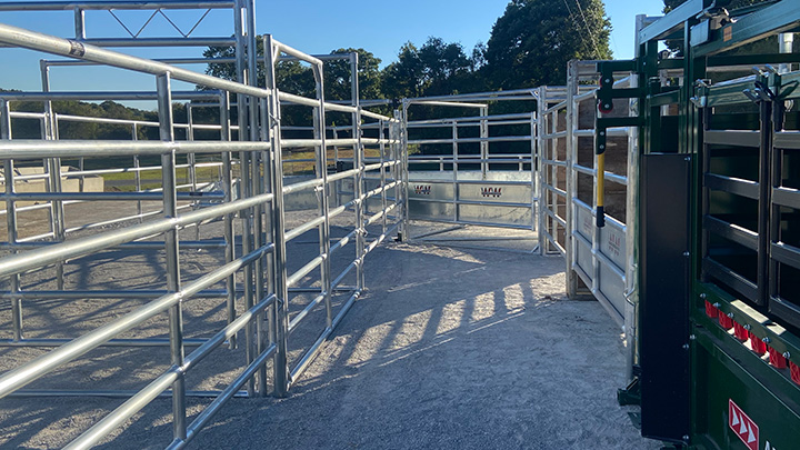 livestock